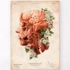 Head, Brain And Arteries Anatomy - Floral - Vintage 1 Head, Brain And Arteries Anatomy - Floral - Vintage -Codex Anatomicus Shop LPA628