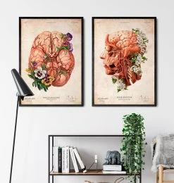 Head, Brain And Arteries Anatomy - Floral - Vintage -Codex Anatomicus Shop LPA628 3