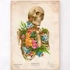 Skeleton Anatomy - Floral - Vintage -Codex Anatomicus Shop LPA629 1