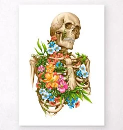 Skeleton Anatomy - Floral - White