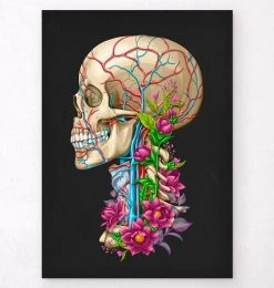 Skull Anatomy II - Floral - Black