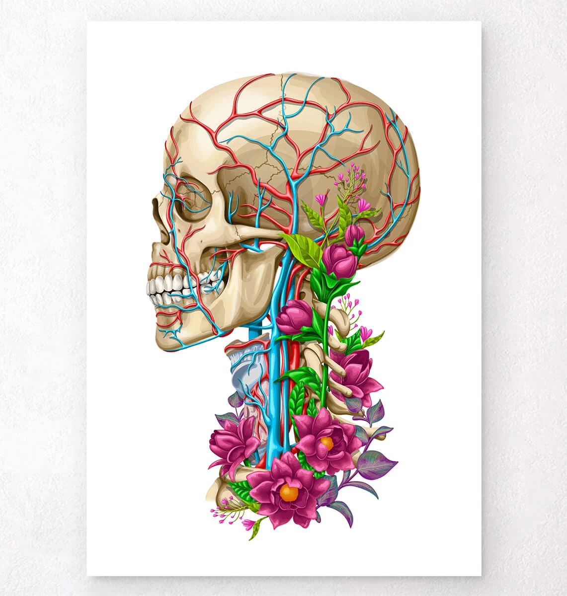 Skull Anatomy II - Floral - White 3 Skull Anatomy II - Floral - White
