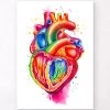 Anatomical Heart Art III - Watercolor Splash -Codex Anatomicus Shop LPA635