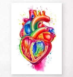 Anatomical Heart Art III - Watercolor Splash