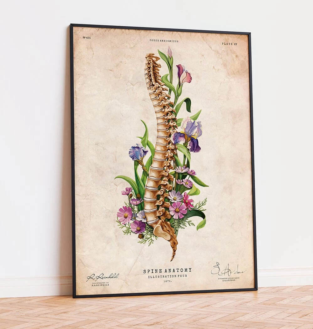 Spine Anatomy - Floral - Vintage 4 Spine Anatomy - Floral - Vintage - Image 2