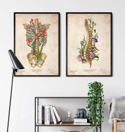 Spine Anatomy - Floral - Vintage 7 Spine Anatomy - Floral - Vintage -Codex Anatomicus Shop LPA635 3 50237014 1d62 42b3 9943 3b268eb4306c