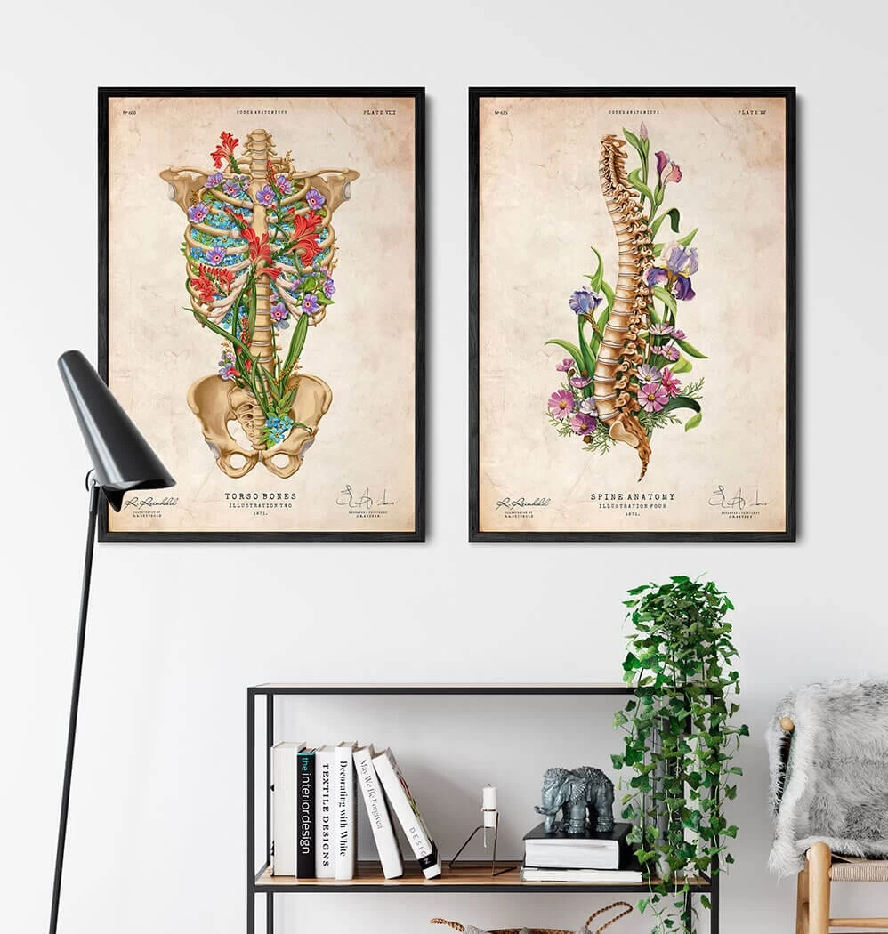 Spine Anatomy - Floral - Vintage 5 Spine Anatomy - Floral - Vintage - Image 3