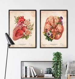 Brain Anatomy - Floral - Vintage -Codex Anatomicus Shop LPA637 3
