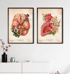 Heart Anatomy - Floral - Vintage -Codex Anatomicus Shop LPA638 3