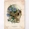 Skull Anatomy - Floral - Vintage -Codex Anatomicus Shop LPA639 94454ced b0fe 4cd8 85d3 ea06924d7285