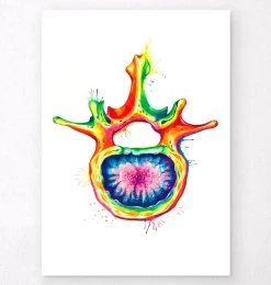 Lumbar Vertebra - Watercolor Splash
