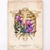 Rib Cage Anatomy - Floral - Vintage 1 Rib Cage Anatomy - Floral - Vintage -Codex Anatomicus Shop LPA640 1deef9f8 d2cb 4a34 adf3 5458afb17e7d