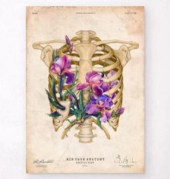 Rib Cage Anatomy - Floral - Vintage