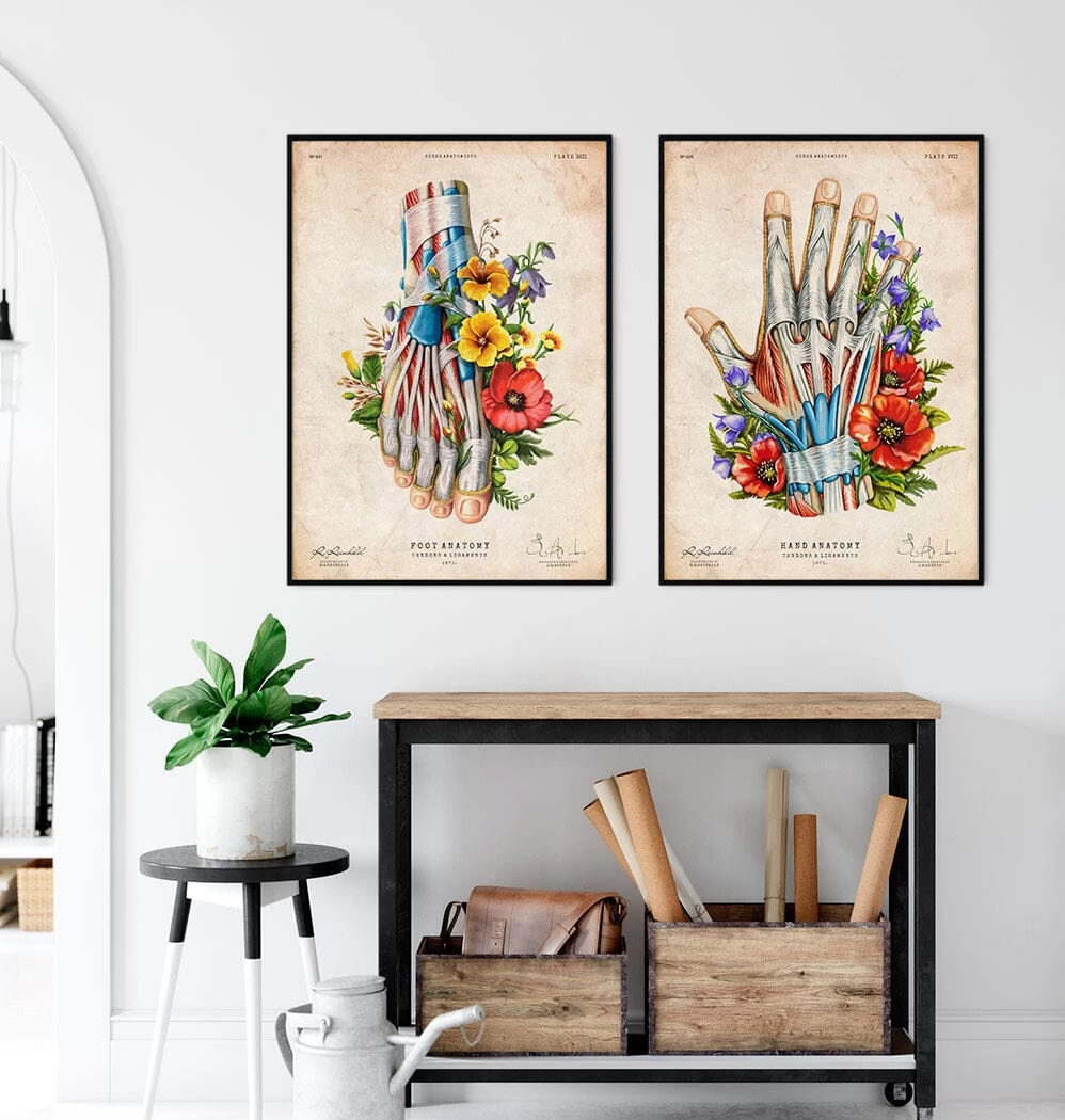 Foot Anatomy - Floral - Vintage 5 Foot Anatomy - Floral - Vintage - Image 3