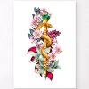 Rod Of Asclepius - Floral - White