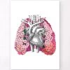 Lungs Anatomy II - Floral - White -Codex Anatomicus Shop LPA646