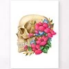 Skull Anatomy III - Floral - White