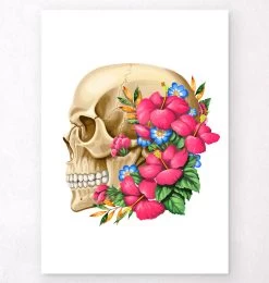 Skull Anatomy III - Floral - White