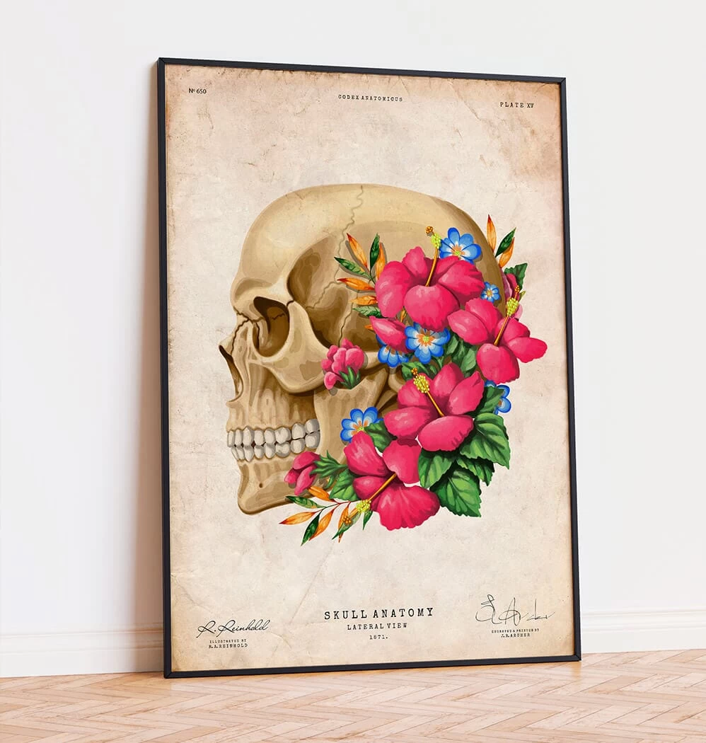 Skull Anatomy III - Floral - Vintage 4 Skull Anatomy III - Floral - Vintage - Image 2