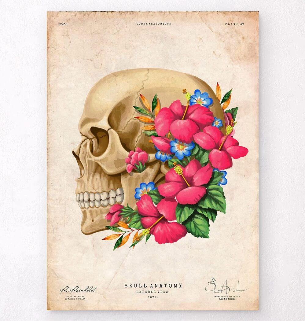 Skull Anatomy III - Floral - Vintage 3 Skull Anatomy III - Floral - Vintage