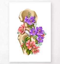 Hip Joint Anatomy - Floral - White