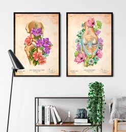 Hip Joint Anatomy - Floral - Vintage -Codex Anatomicus Shop LPA655 3