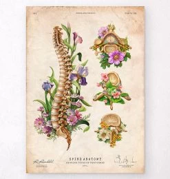 Spine Chart - Floral - Vintage
