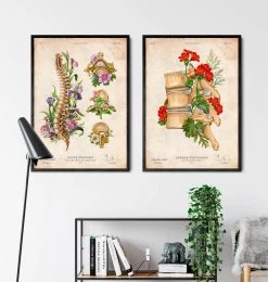 Spine Chart - Floral - Vintage 7 Spine Chart - Floral - Vintage -Codex Anatomicus Shop LPA656 4