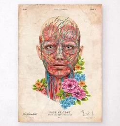Face Anatomy - Floral - Vintage
