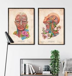 Face Anatomy - Floral - Vintage -Codex Anatomicus Shop LPA663 3