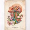 Blood Vessels Of The Neck - Floral - Vintage