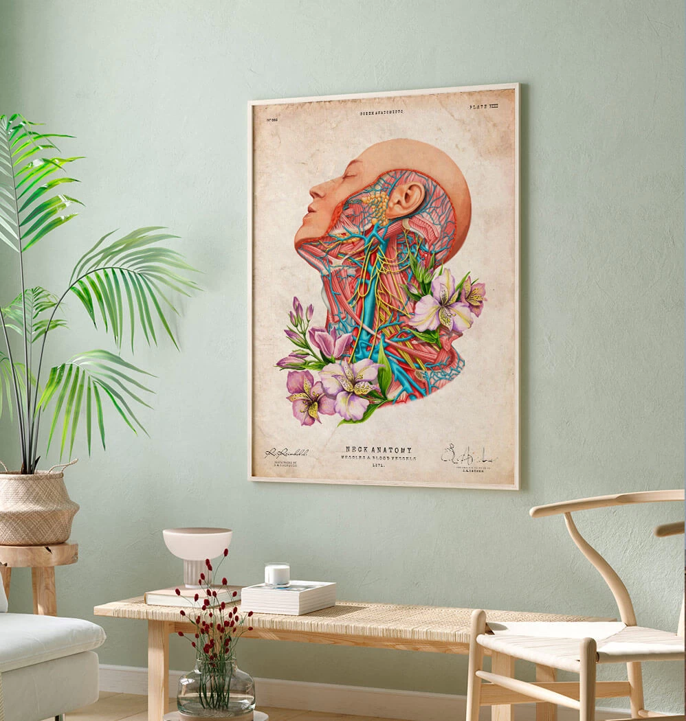 Blood Vessels Of The Neck - Floral - Vintage 3 Blood Vessels Of The Neck - Floral - Vintage - Image 2