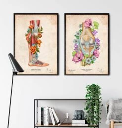 Leg Anatomy - Floral - Vintage -Codex Anatomicus Shop LPA669 3