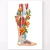 Leg Anatomy - Floral - White -Codex Anatomicus Shop LPA670