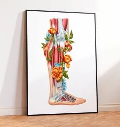 Codex Anatomicus Shop -Codex Anatomicus Shop LPA670 2