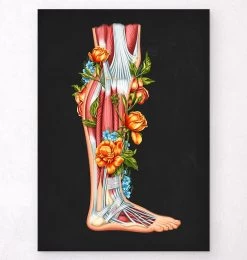 Leg Anatomy - Floral - Black
