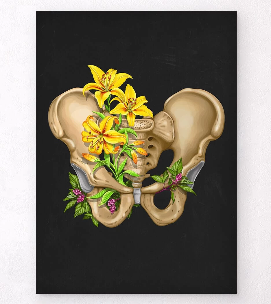 Male Pelvis Anatomy - Floral - Black 3 Male Pelvis Anatomy - Floral - Black