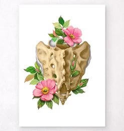 Sacrum And Coccyx - Floral - White