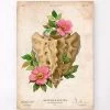 Sacrum And Coccyx - Floral - Vintage -Codex Anatomicus Shop LPA679