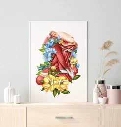 Codex Anatomicus Shop -Codex Anatomicus Shop LPA682 1