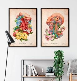 Neck Muscles - Floral - Vintage -Codex Anatomicus Shop LPA683 2