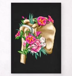 Shoulder Anatomy - Floral - Black