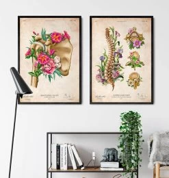 Shoulder Anatomy - Floral - Vintage -Codex Anatomicus Shop LPA686 3