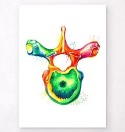 Thoracic Vertebra - Watercolor Splash
