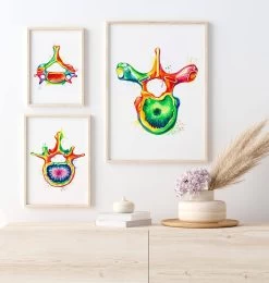 Thoracic Vertebra - Watercolor Splash -Codex Anatomicus Shop LPA689 3