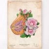 Breast Anatomy - Floral - Vintage