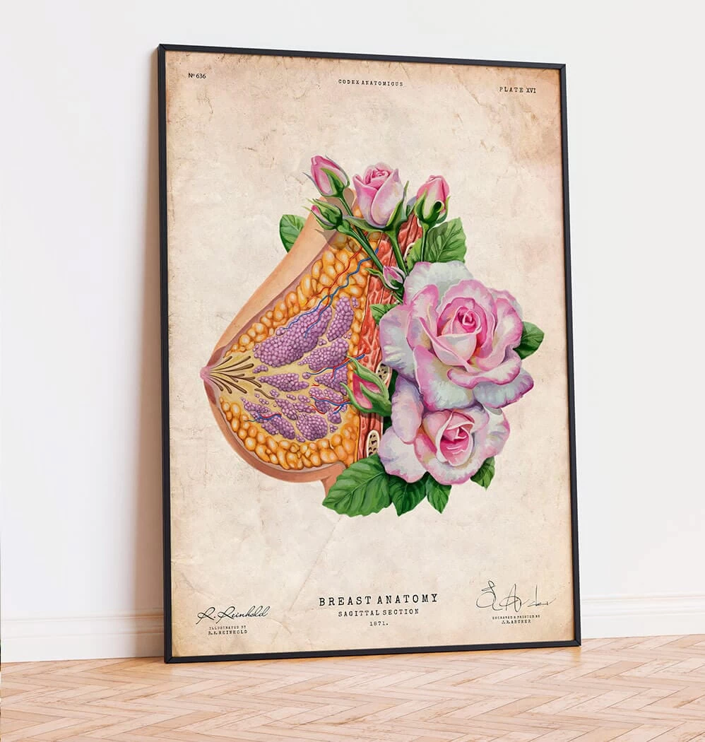Breast Anatomy - Floral - Vintage 4 Breast Anatomy - Floral - Vintage - Image 2