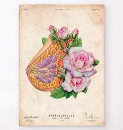 Breast Anatomy - Floral - Vintage