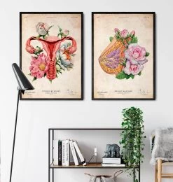 Breast Anatomy - Floral - Vintage 7 Breast Anatomy - Floral - Vintage -Codex Anatomicus Shop LPA690 3