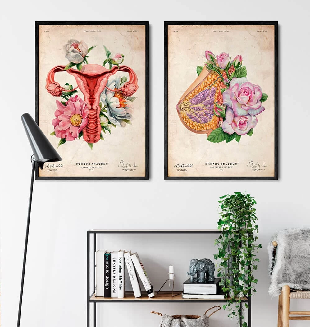 Breast Anatomy - Floral - Vintage 5 Breast Anatomy - Floral - Vintage - Image 3